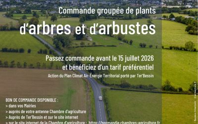 Plantation d&rsquo;arbres